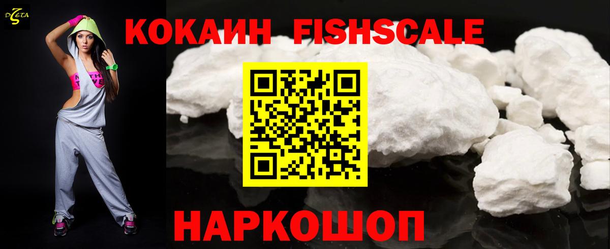 Меф Кудрово