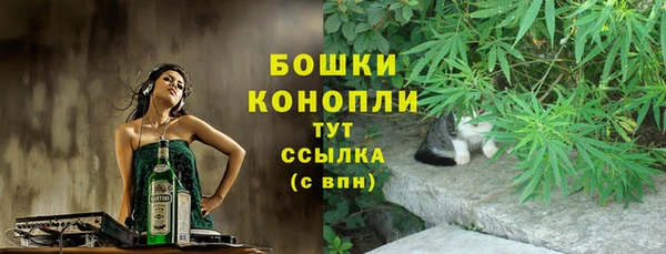 PSILOCYBIN Нягань