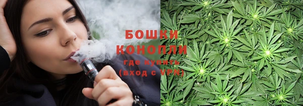 PSILOCYBIN Нягань