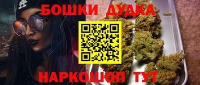 прущие крисы Канаш