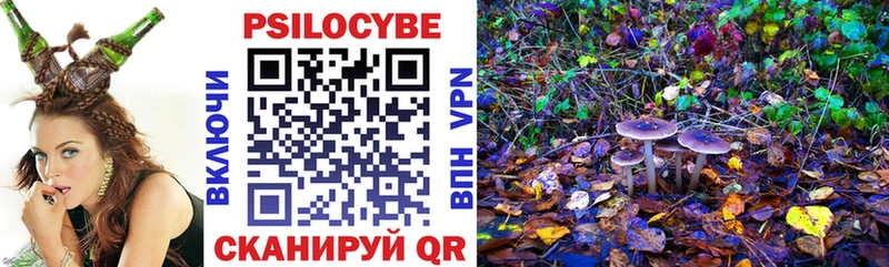 Псилоцибиновые грибы Psilocybine cubensis  Кудрово 