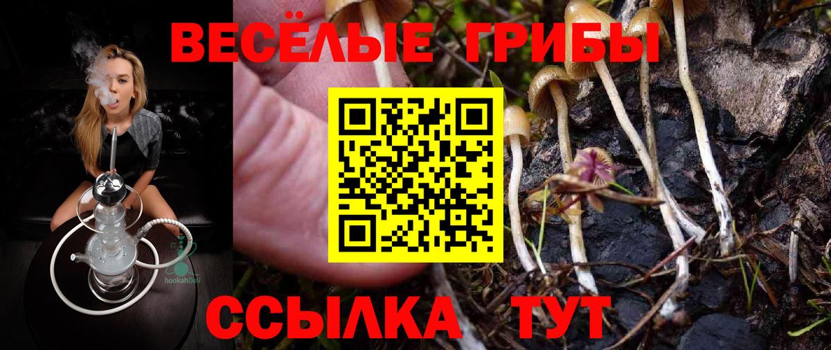 Псилоцибиновые грибы Cubensis  Вход с VPN  Кудрово 